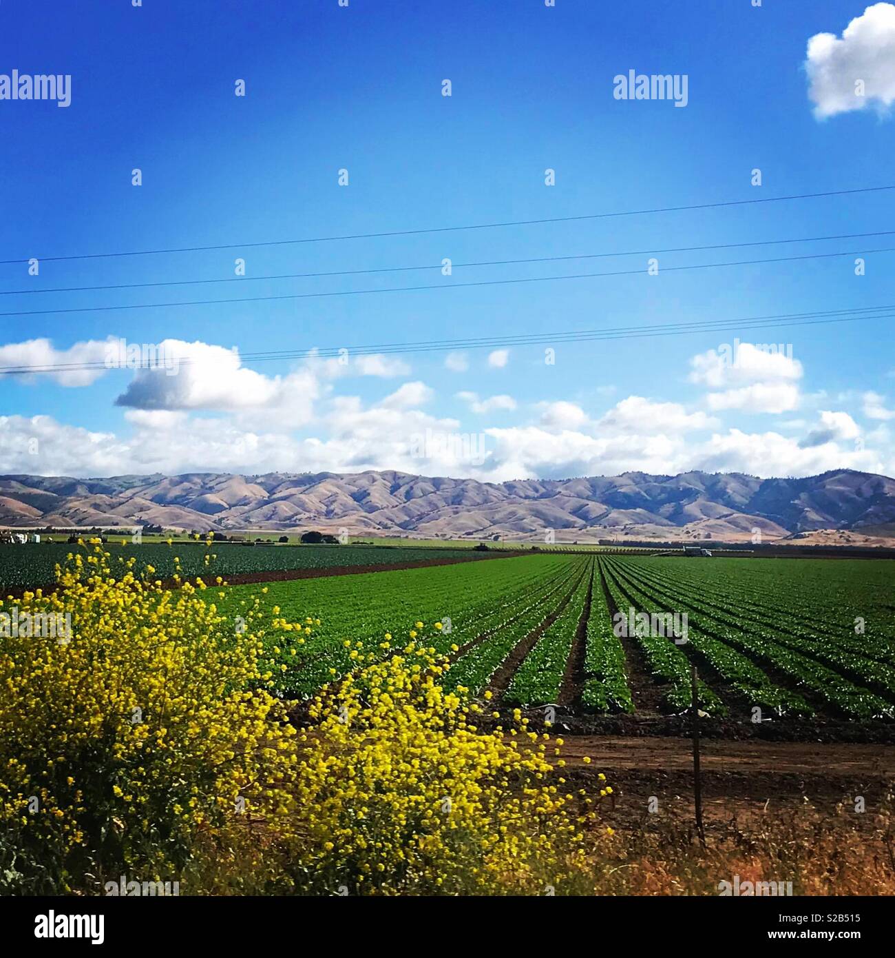 La campagne de la Californie Banque D'Images