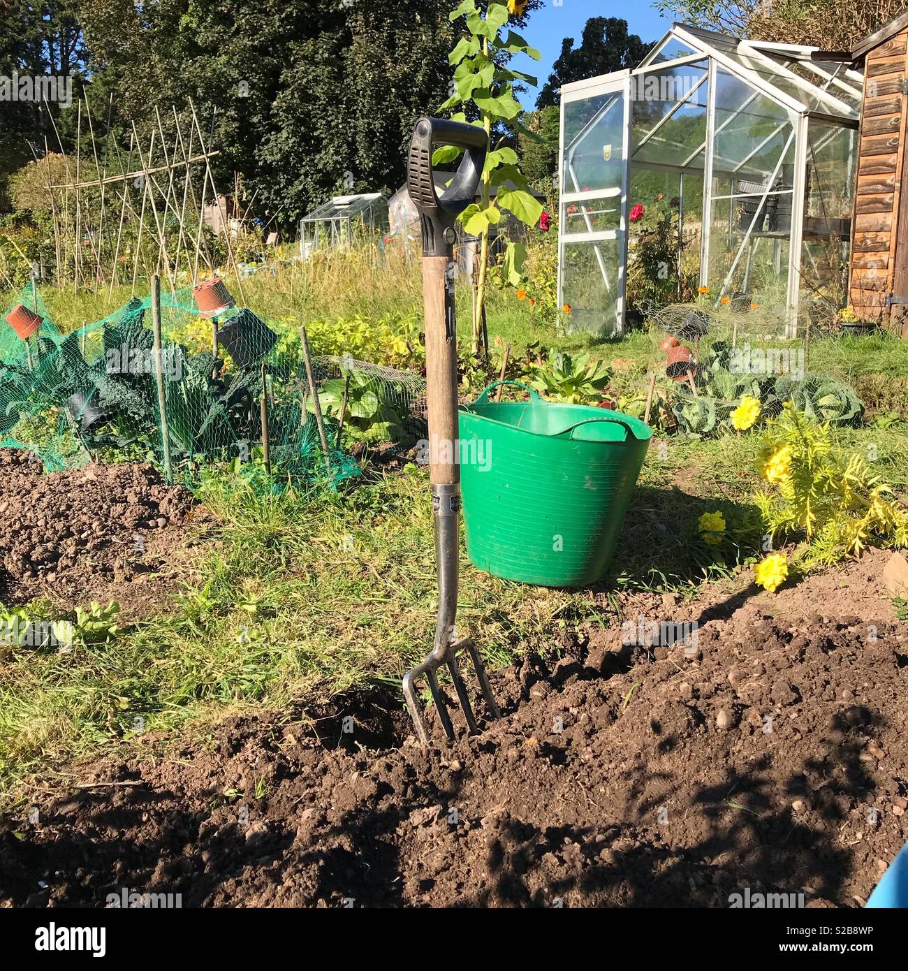 La préparation d'une affectation de creuser plus en automne Herefordshire UK - Image de stock capturée avec un smartphone