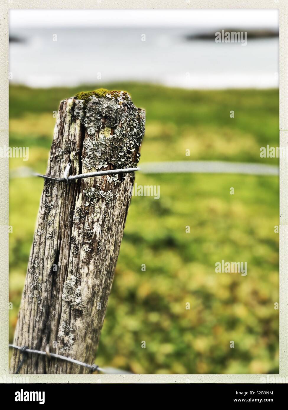 Poteau de clôture Weathered à sur l'île de dans les petites îles de l'Ouest Bay en Ecosse en Septembre Banque D'Images