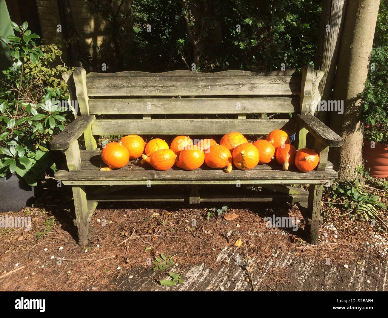 Coincé sur un banc Banque D'Images