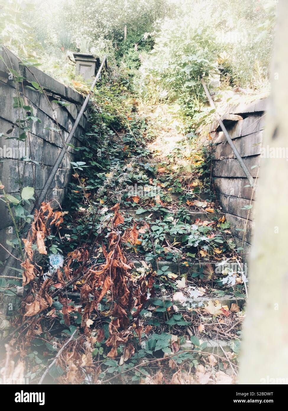 Vieux abandonnés envahis par les étapes menant à un cimetière, dans le Yorkshire, Angleterre Banque D'Images