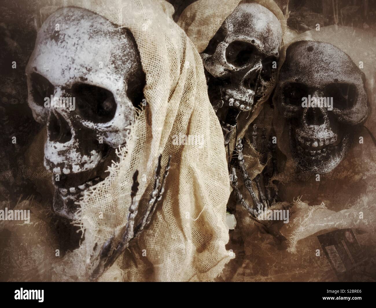 Squelettes Halloween Banque D'Images