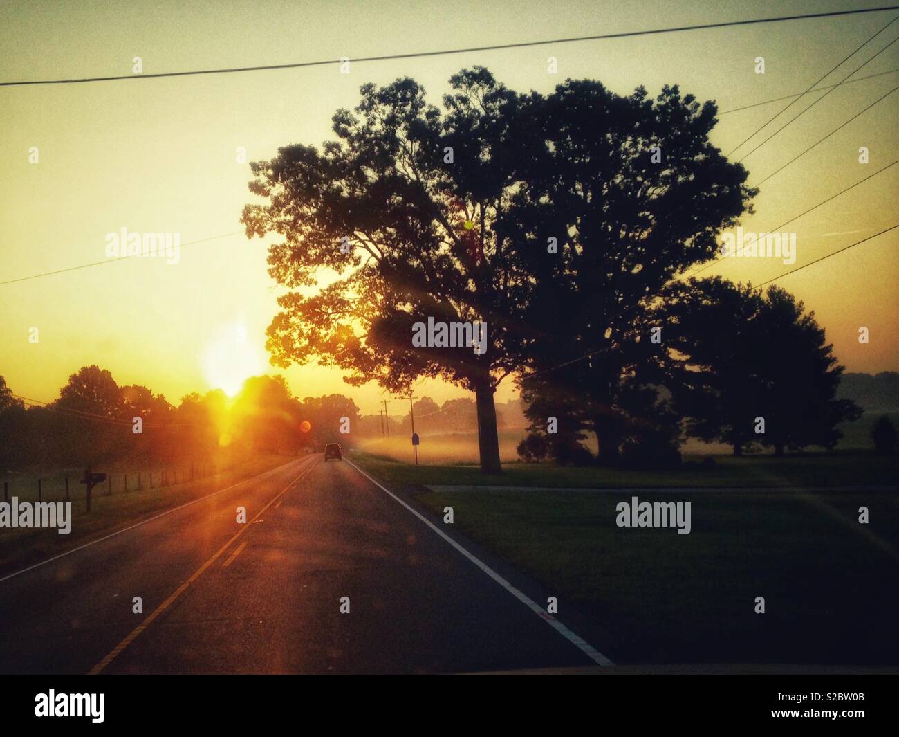 Lever de soleil orange au-dessus de la ligne de arbres au-delà de la route avec silhouette d'arbre en Caroline du Nord, octobre Banque D'Images