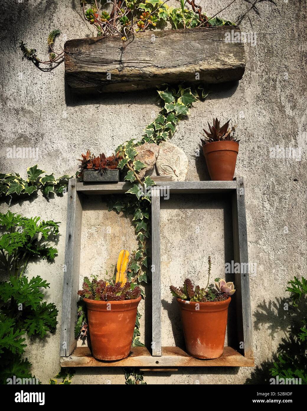 Les pots à fleurs et plantes décorer un mur à Leon, Guanajuato, Mexique Banque D'Images