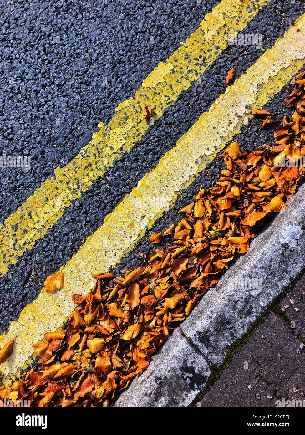 Pas de lignes jaune double parking en bordure de la rue avec les feuilles d'automne. - Image de stock capturée avec un smartphone