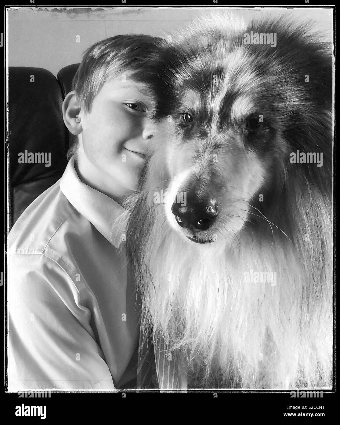 Un garçon et son chien. Banque D'Images