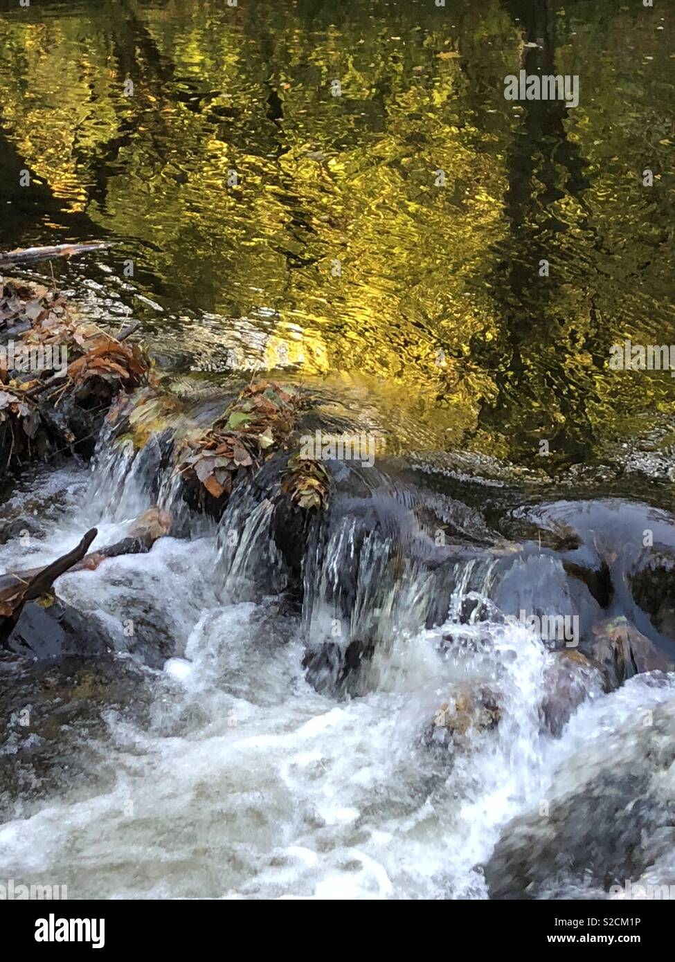 Automne Rivière et rochers Banque D'Images