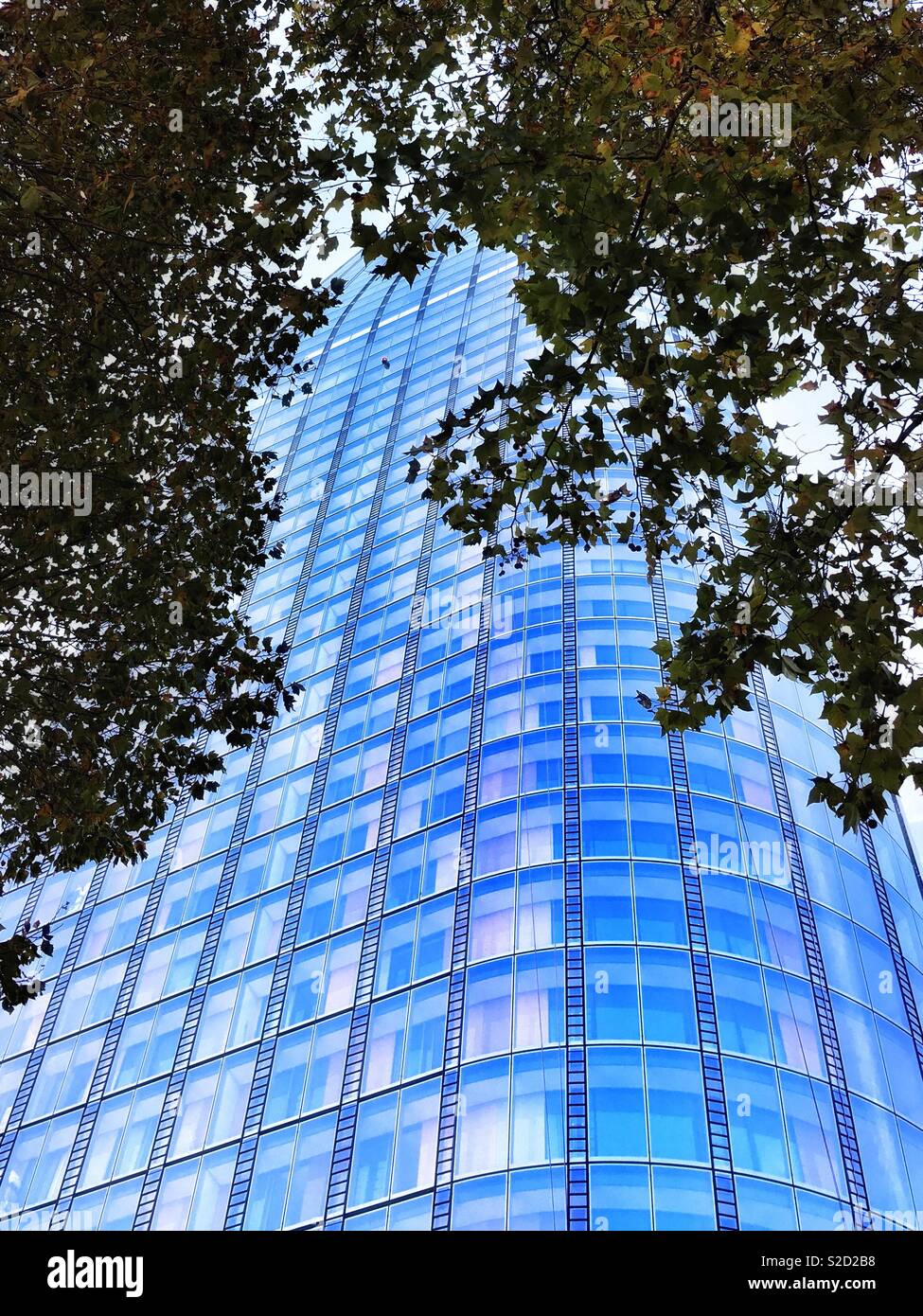 Immeuble de bureaux modernes windows contrairement à l'encadrement des branches d'arbre - Image de stock capturée avec un smartphone