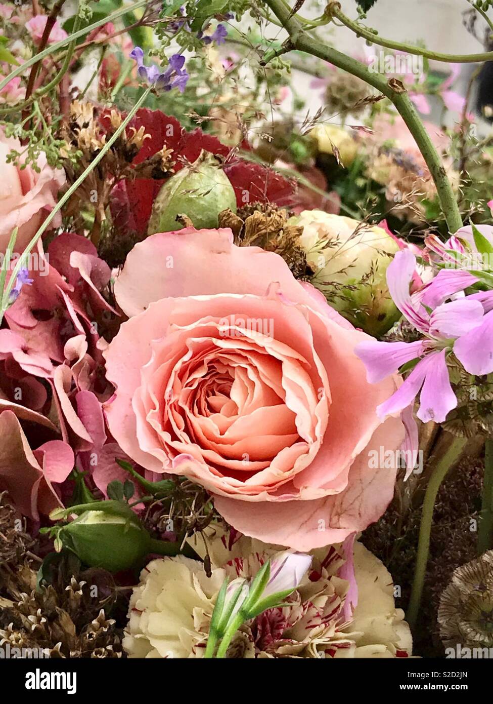 Rose, détail d'un bouquet de fleurs Banque D'Images