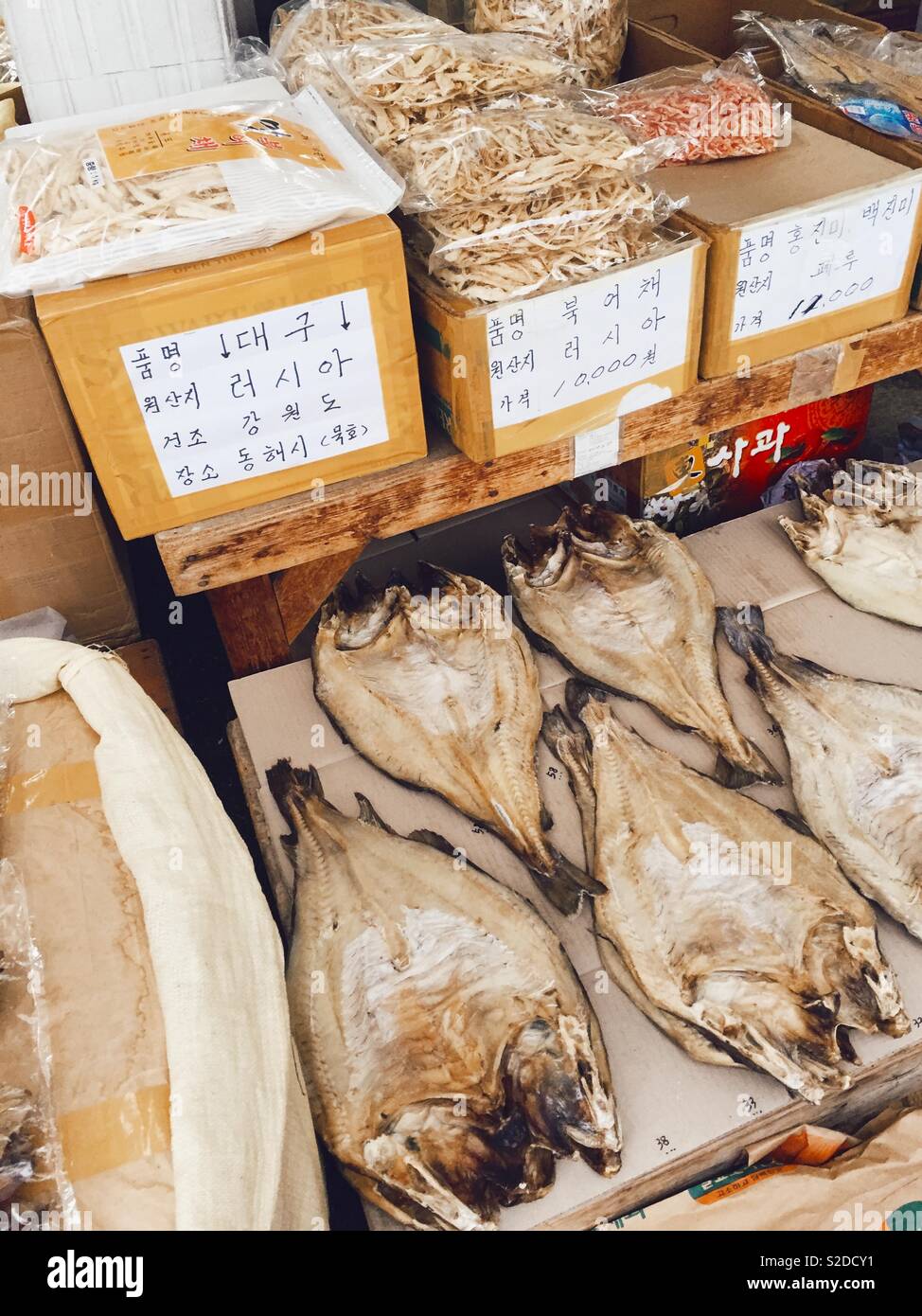 Marché aux poissons, Corée Banque D'Images