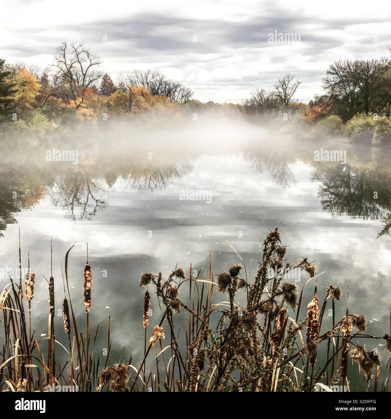 Matin d'automne brumeux dans le nord de New York Banque D'Images