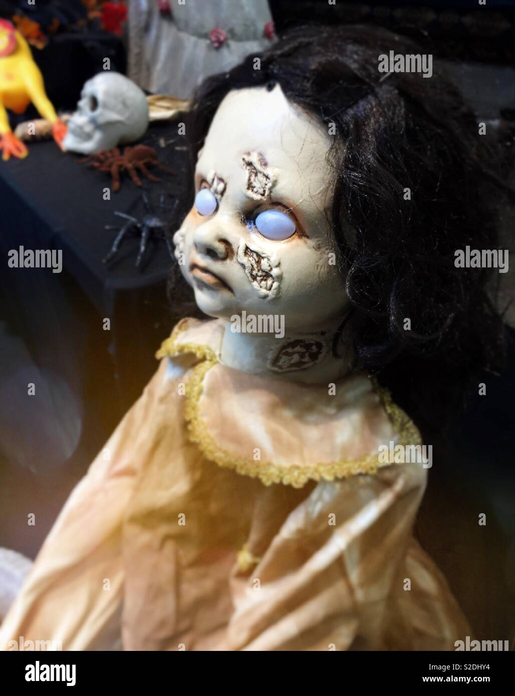 Affichage de l'Halloween avec des yeux vitreux, poupée zombie USA Photo  Stock - Alamy