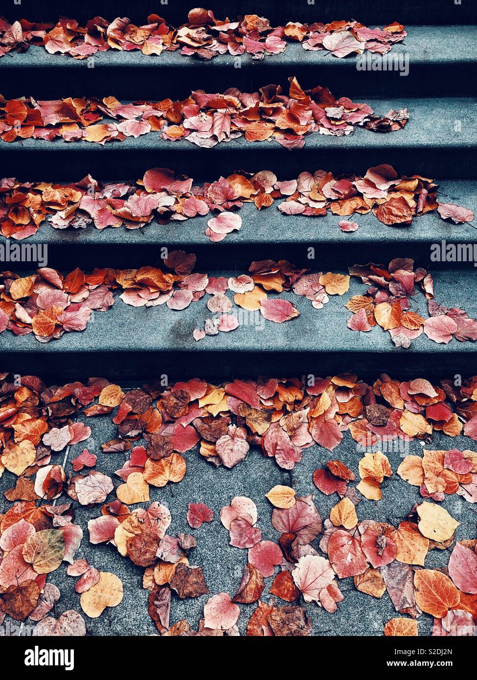 Les feuilles tombées sur les étapes de la ville Banque D'Images