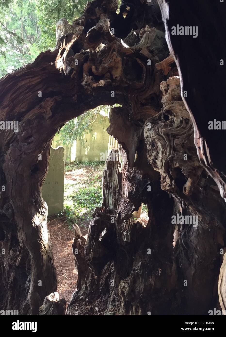 Ancien des jours Banque de photographies et d’images à haute résolution