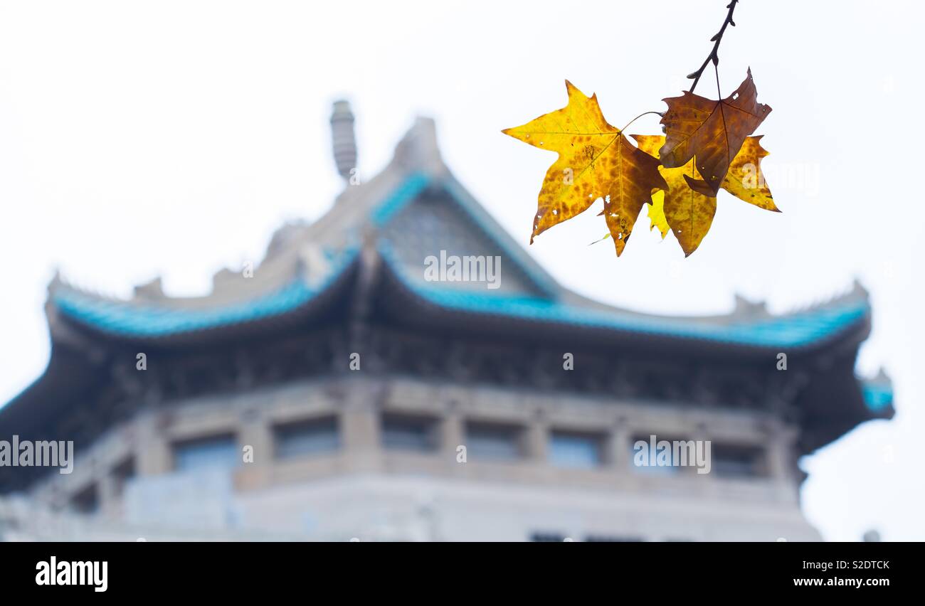 L'automne, Université de Wuhan Banque D'Images