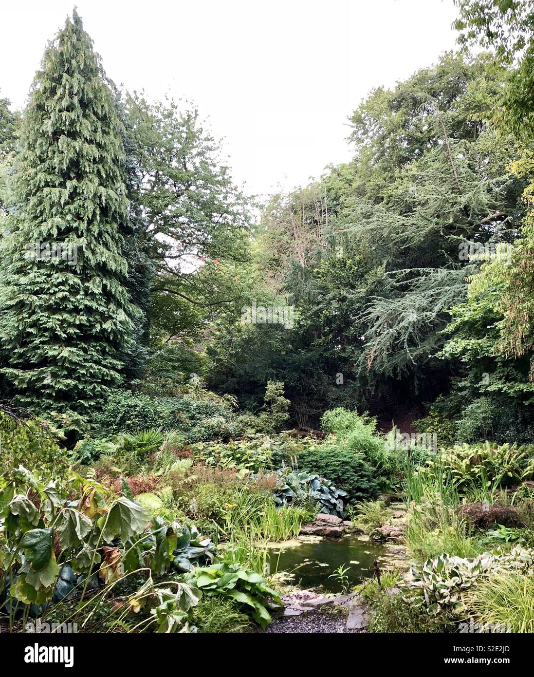 Jardin avec étang ornemental Banque D'Images