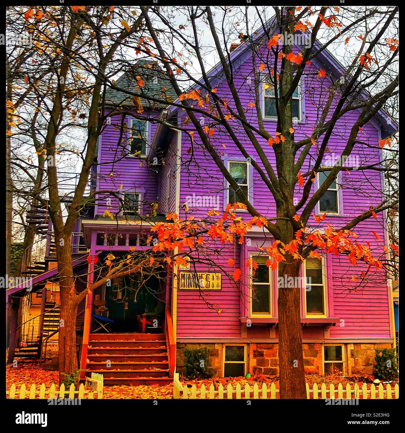 Maison étudiante violet à Ann Arbor au Michigan Banque D'Images
