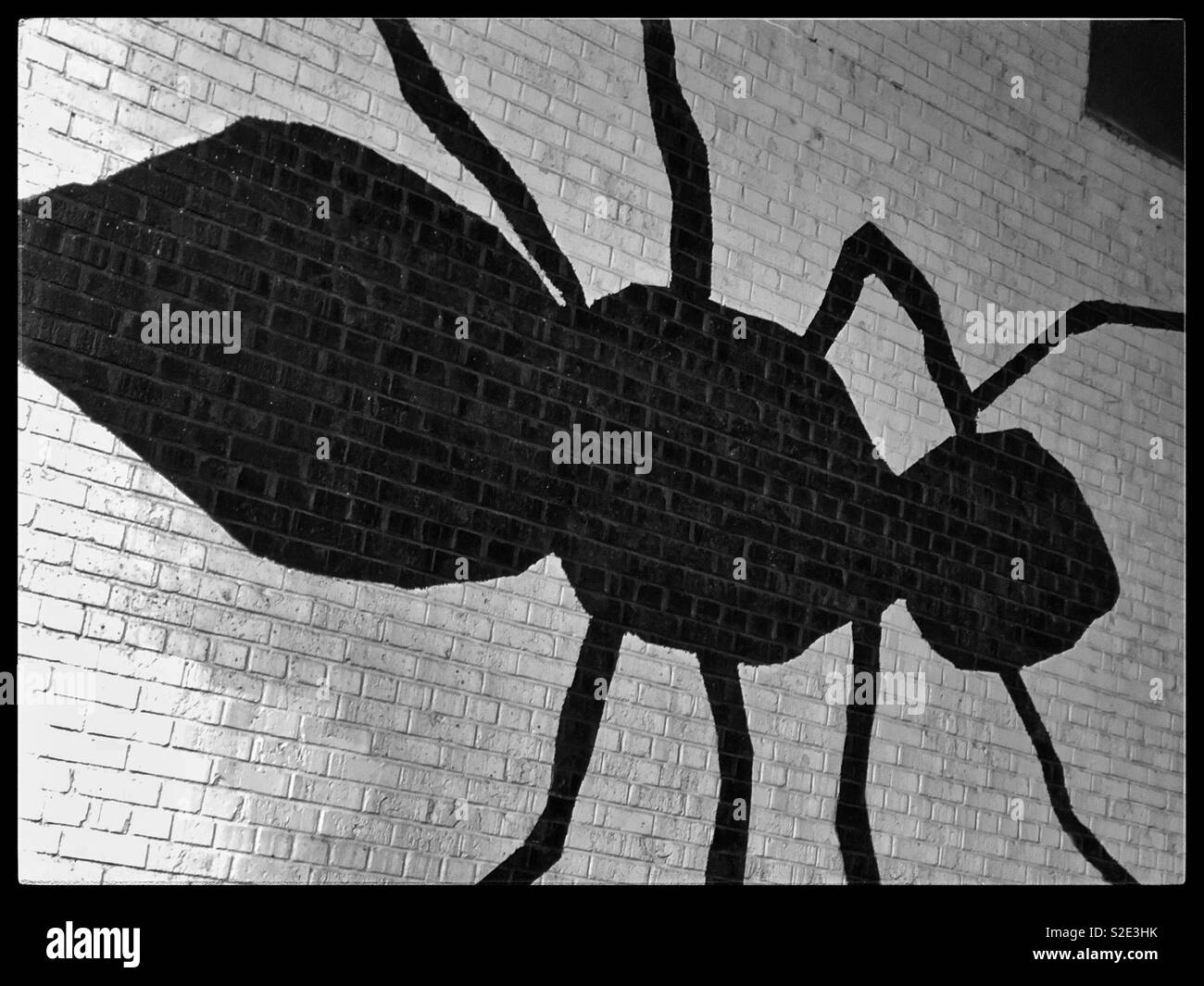 Énorme insecte noir peint sur un mur en brique blanche Banque D'Images