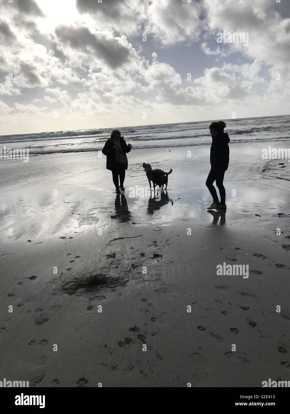 Balade hivernale sur la plage Wembury Banque D'Images