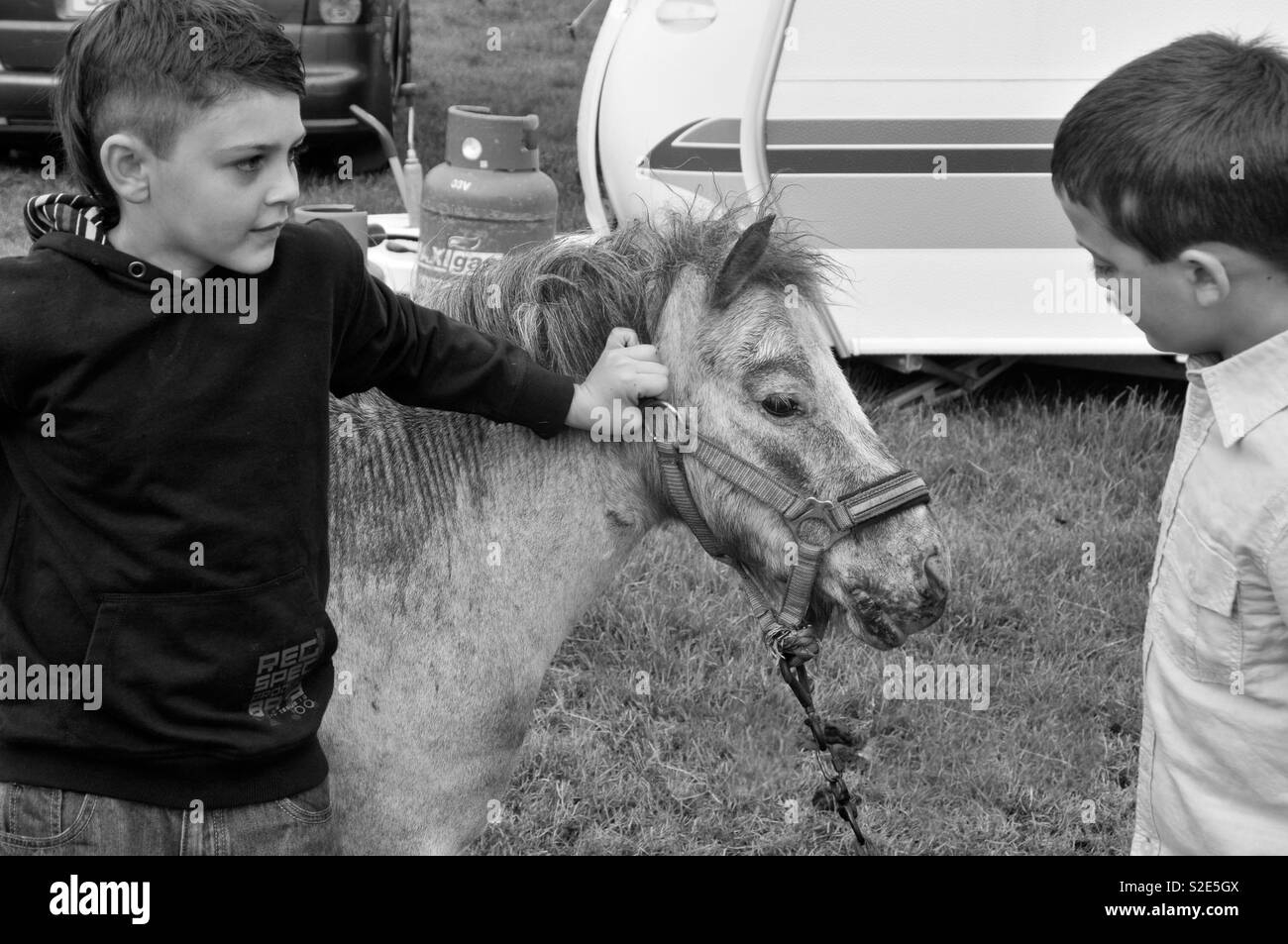 Les garçons tsiganes avec pony dans le camp Banque D'Images
