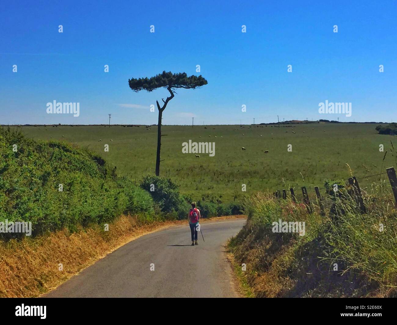 Journée très chaude bas de la ruelle à Colmon Porth Aberdaron près au milieu de la canicule depuis des années les plus chaudes uk. Juillet 2018. Le Nord du Pays de Galles. Banque D'Images