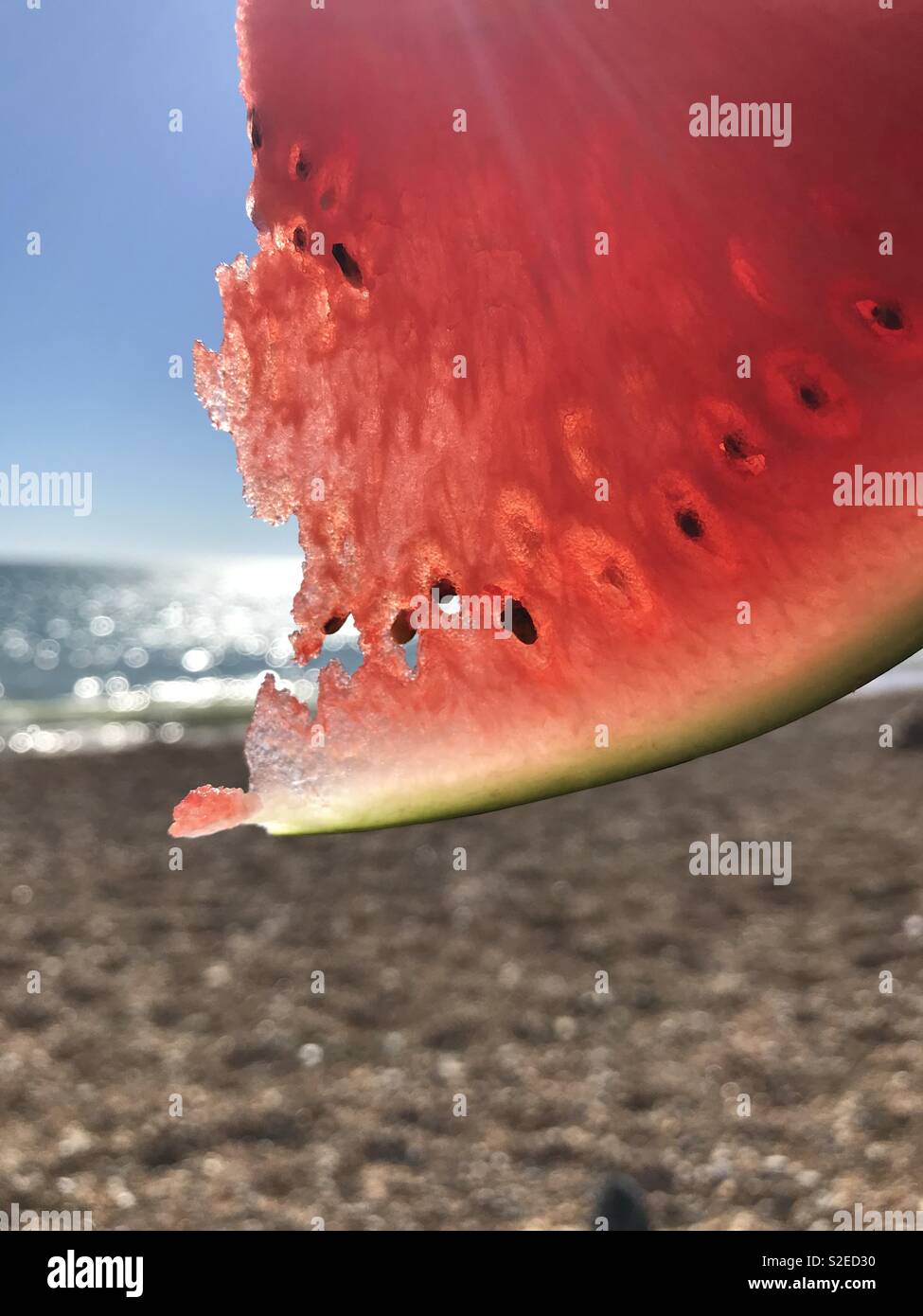 Watermelon sur Seaford Heights, Sussex Banque D'Images