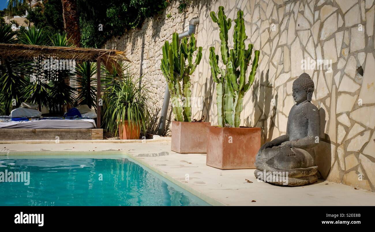 Exotic piscine extérieure avec statue de Bouddha et cactus - Image de stock capturée avec un smartphone