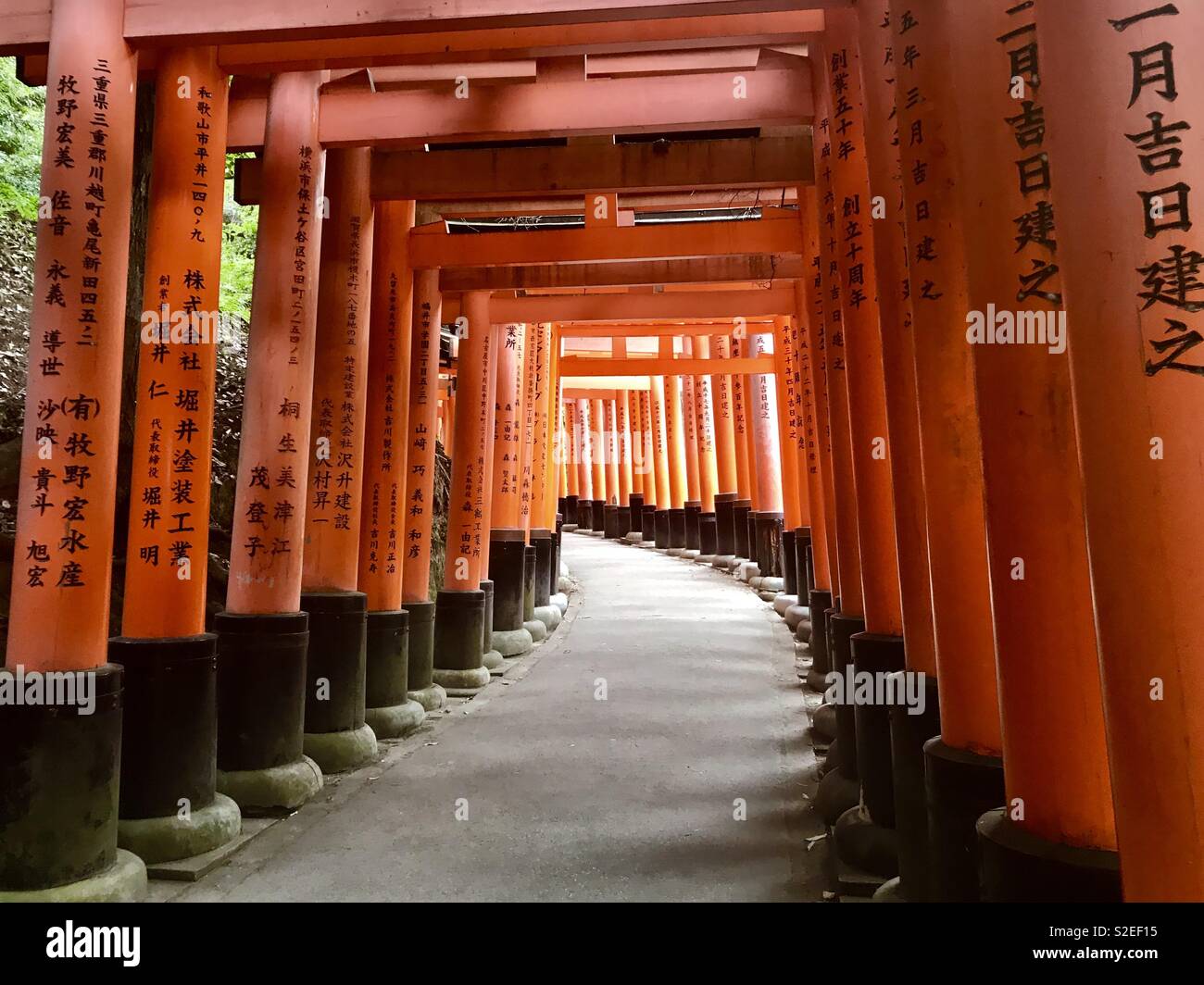 Tori japonais gates à Kyoto Banque D'Images