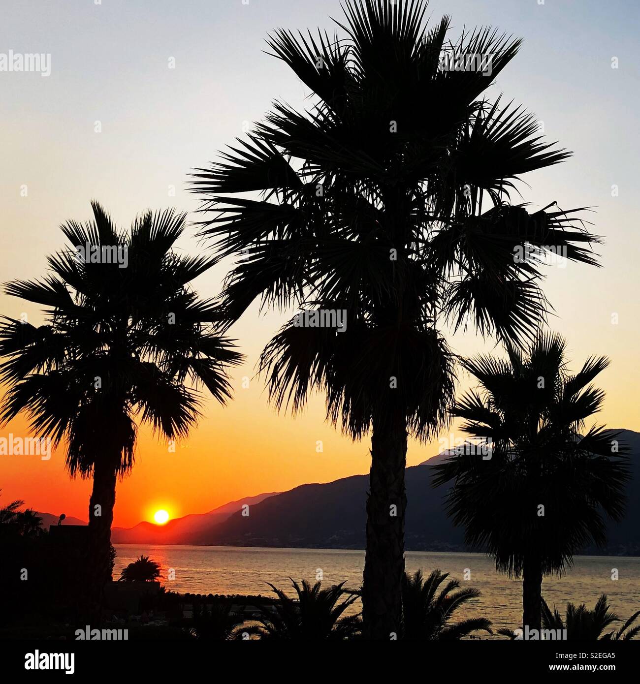 Coucher de soleil et palmiers Banque D'Images