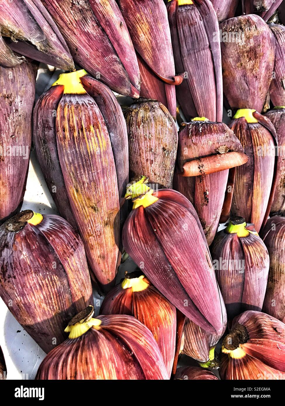 L'ampoule de la banane - Image de stock capturée avec un smartphone