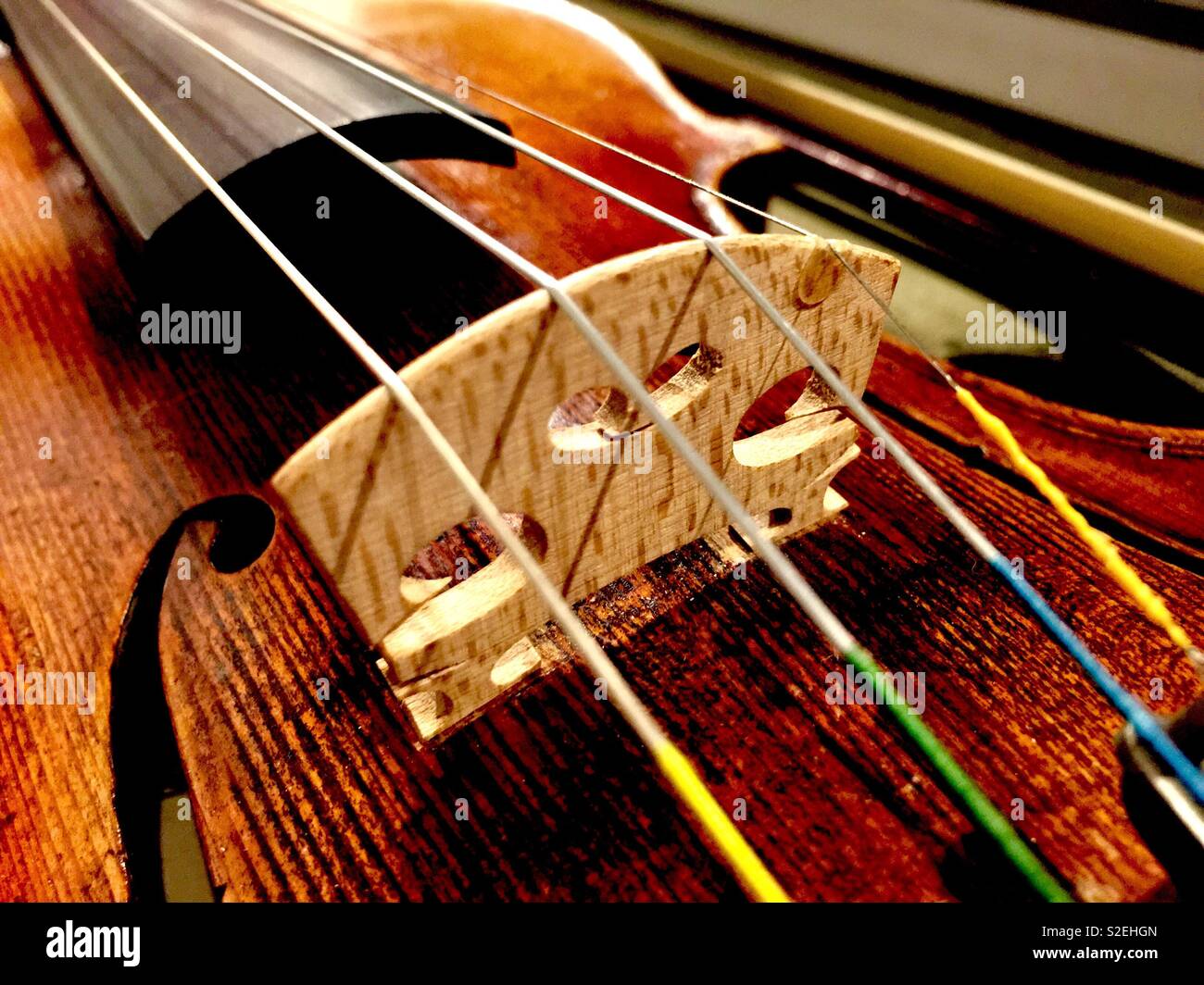 Violon. Banque D'Images