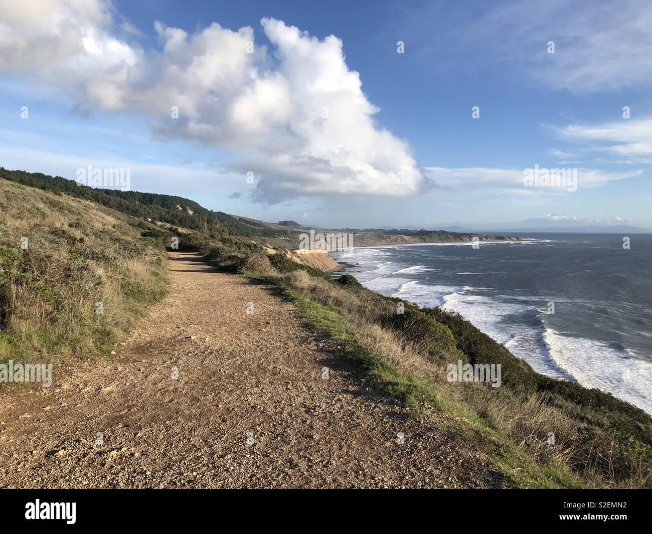 Sentier de marche au point Reyes National Seashore, Californie - Image de stock capturée avec un smartphone