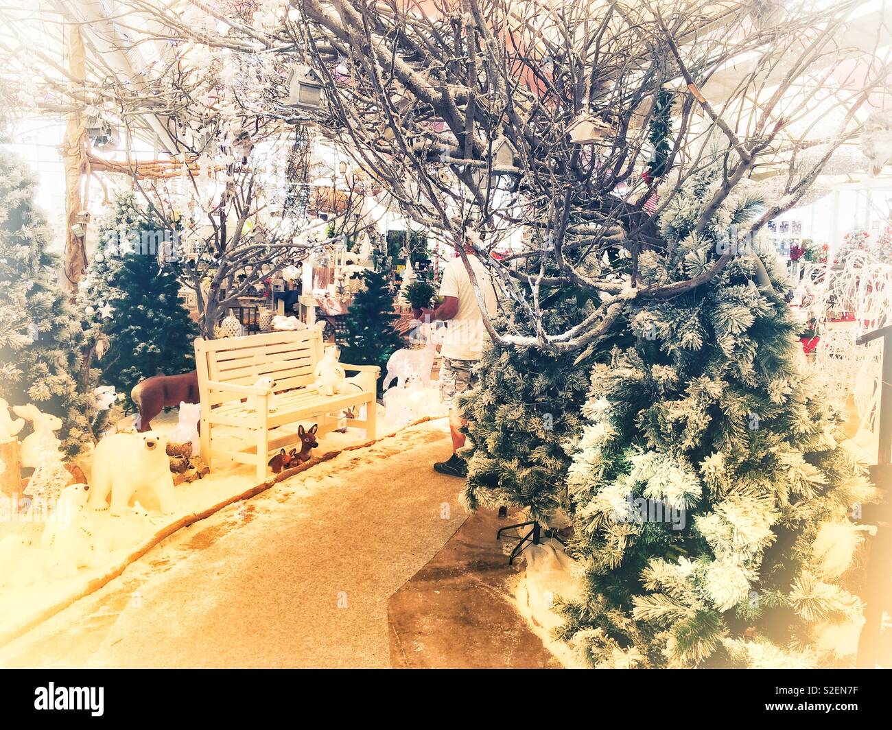 Scène de Noël dans un centre jardin, Tenerife - Image de stock capturée avec un smartphone