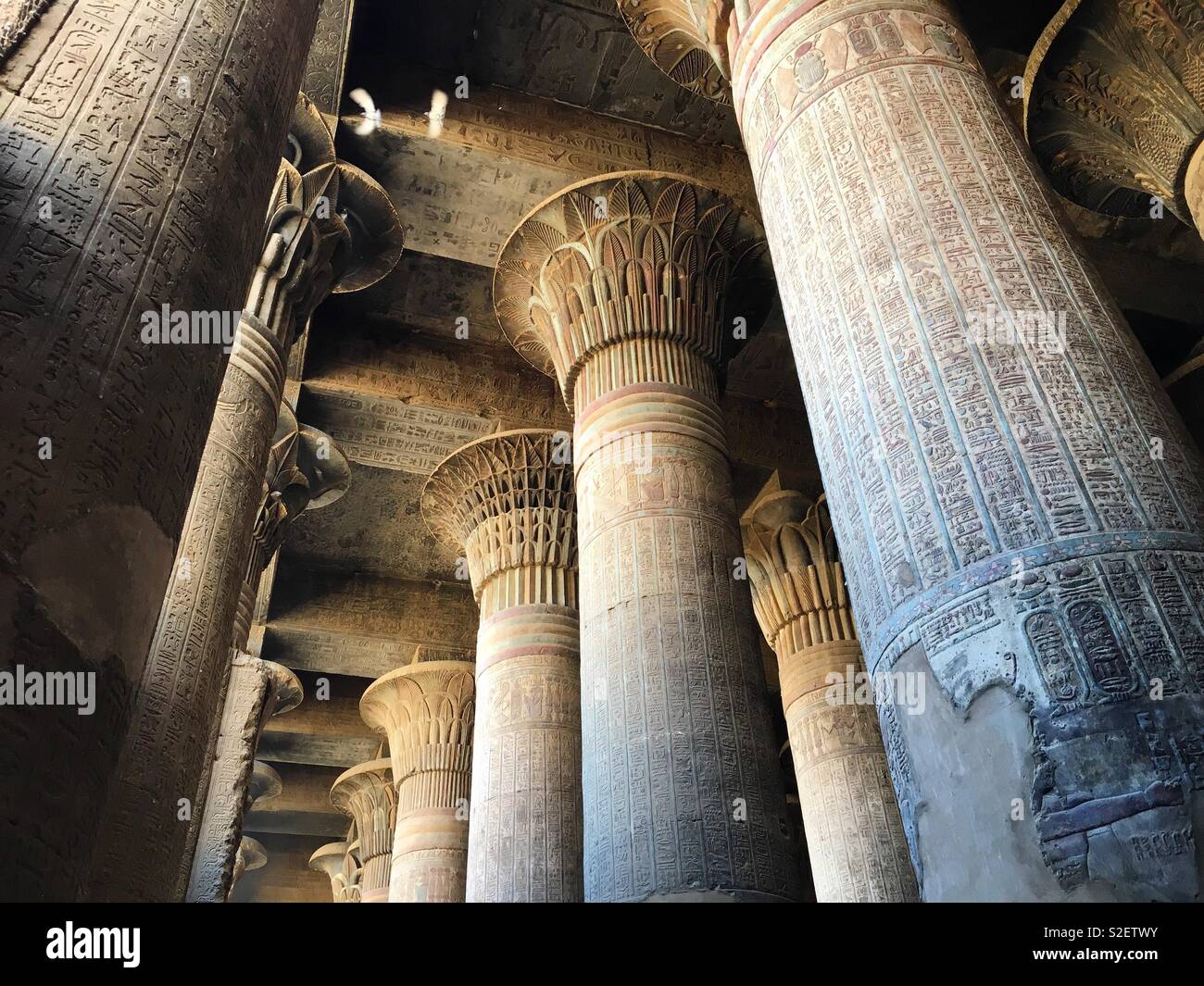 Les pigeons de vol dans l'Temple d'Esna, Egypte Banque D'Images