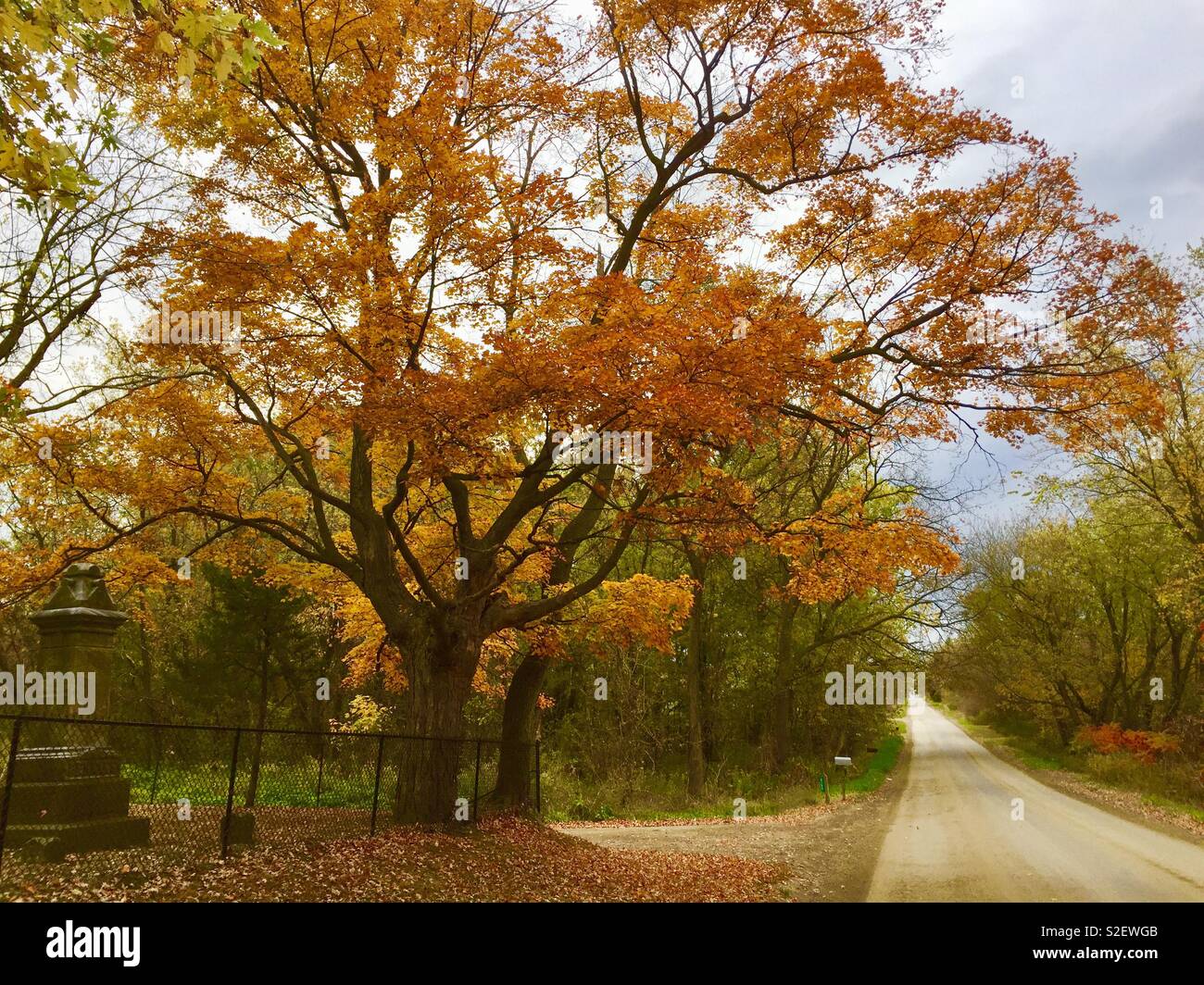 Scène d'automne au Michigan Banque D'Images