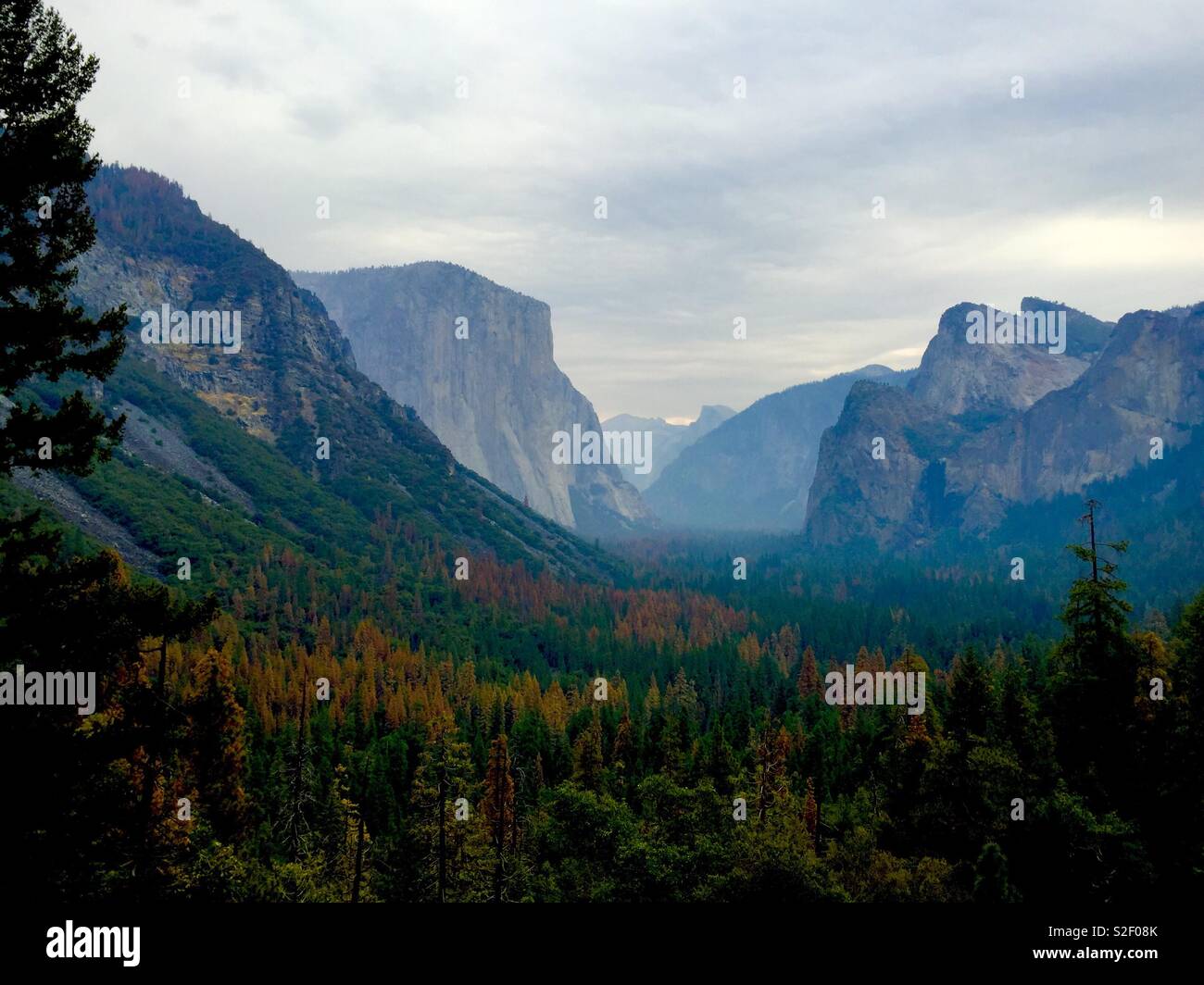 La vallée d’Yosemite Banque D'Images