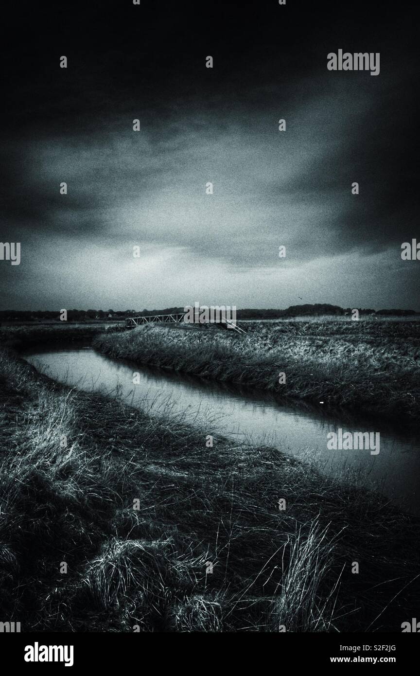 Dark Water Banque D'Images