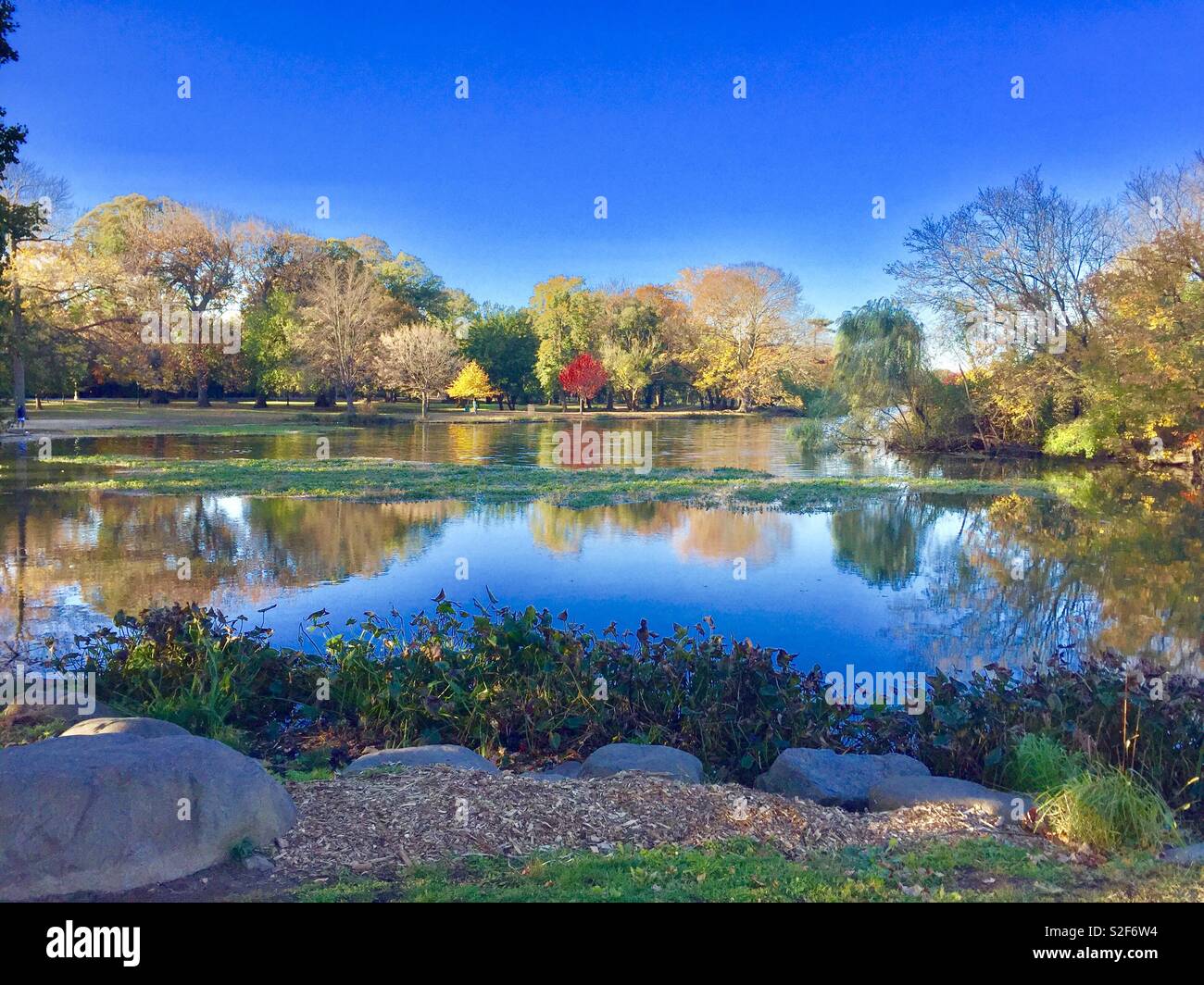 Prospect Park à l'automne Banque D'Images