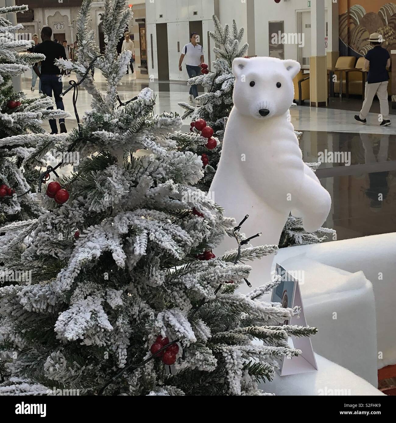 L'ours de glace en hiver Banque D'Images