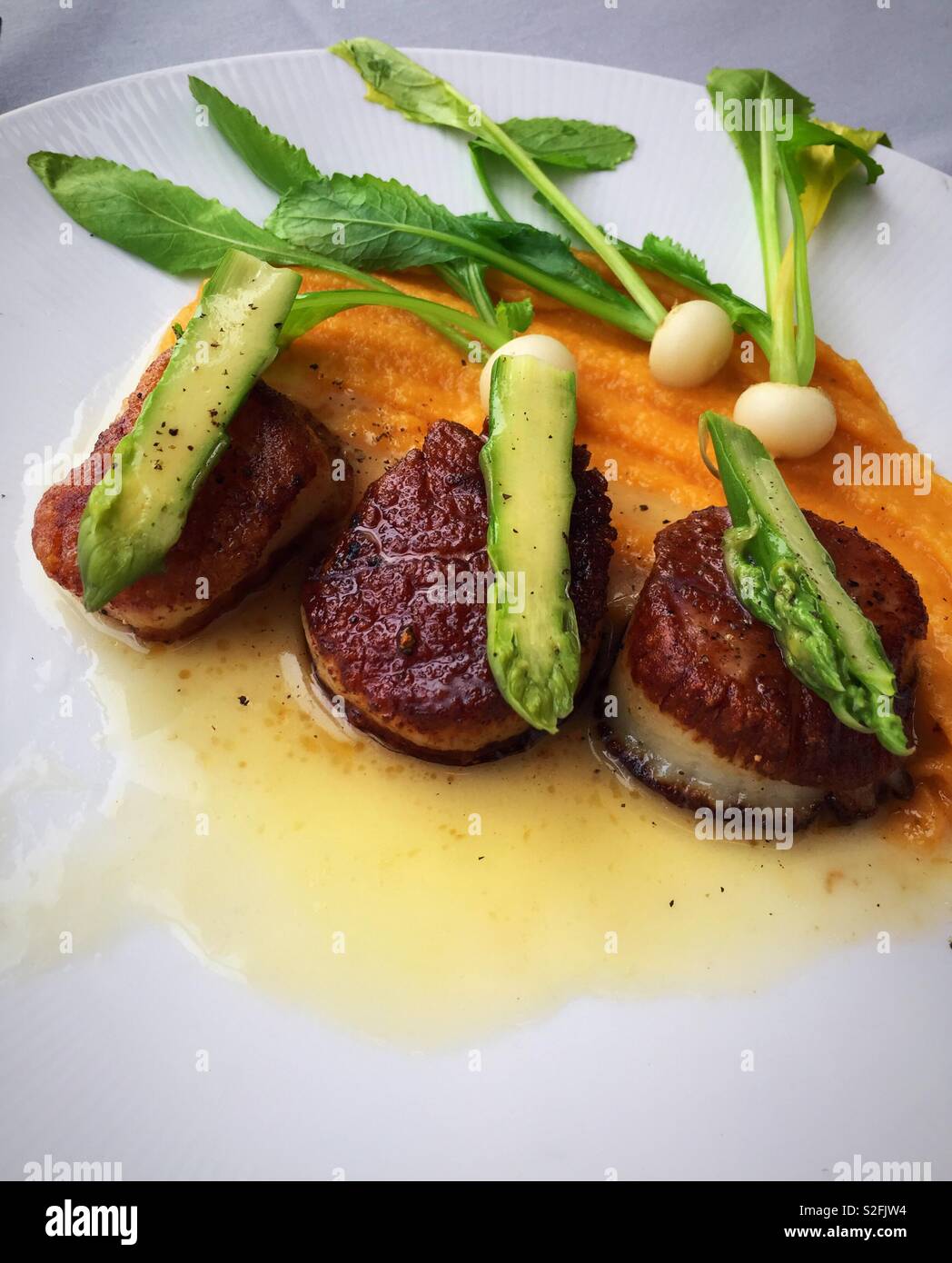 Présentation de Gourmet pétoncles poêlés aux asperges à une clientèle huppée restaurant de Manhattan, New York, USA Banque D'Images