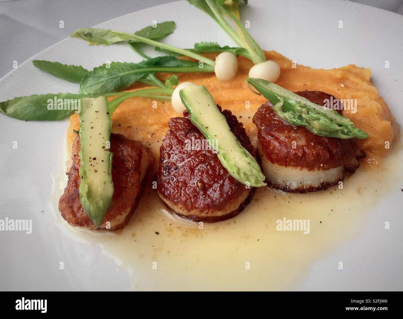 Présentation de Gourmet pétoncles poêlés avec asperges à une clientèle huppée restaurant de Manhattan, New York, USA Banque D'Images