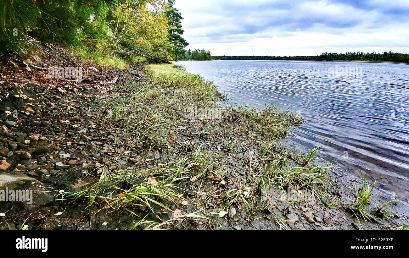 Sur les rives de la rivière Banque D'Images