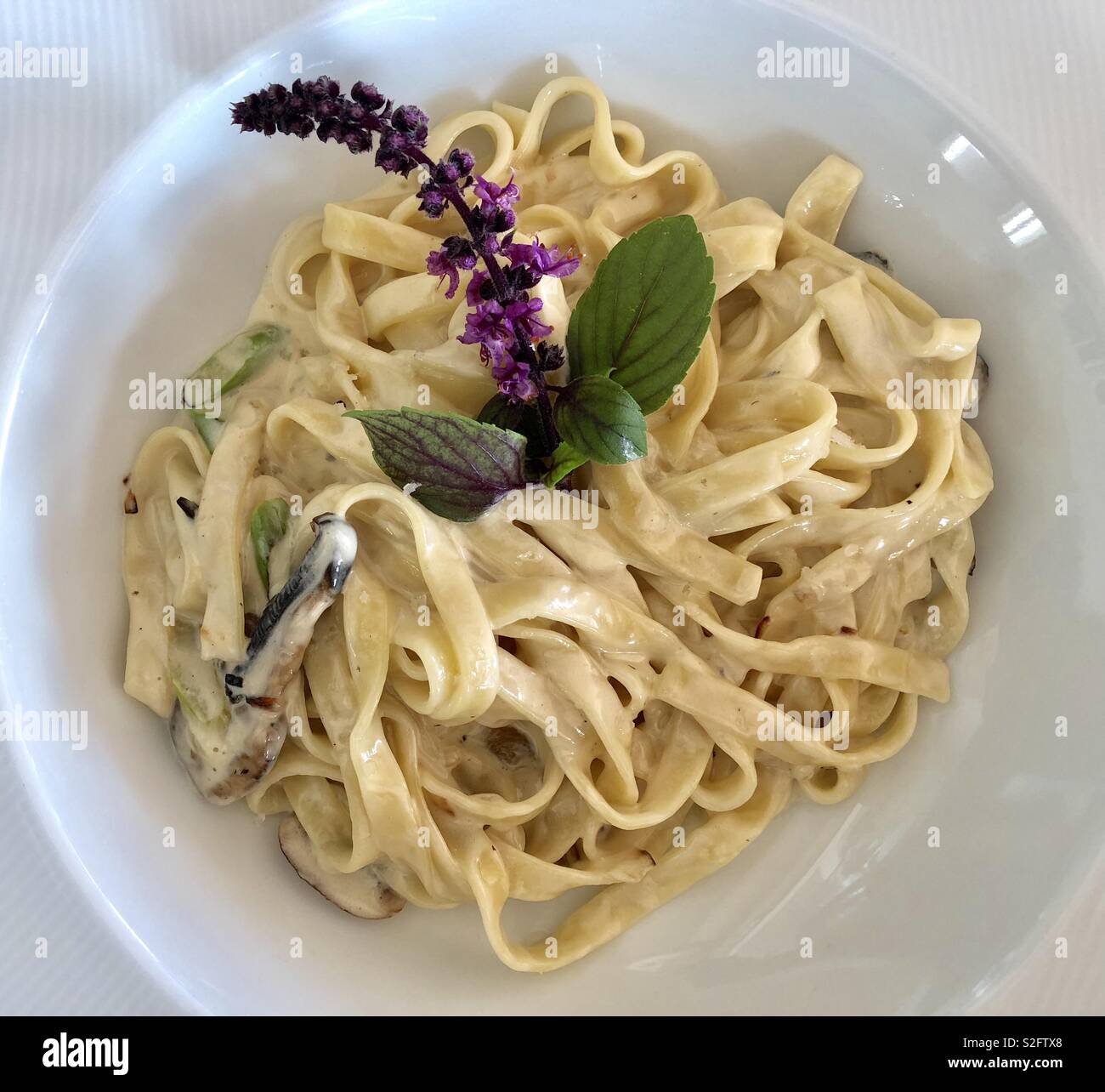 Tagliatelle aux champignons crémeux - Image de stock capturée avec un smartphone