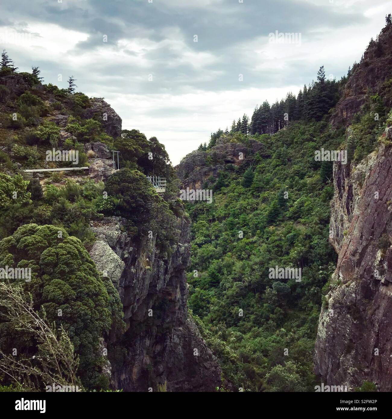 Ravin de la forêt Banque D'Images