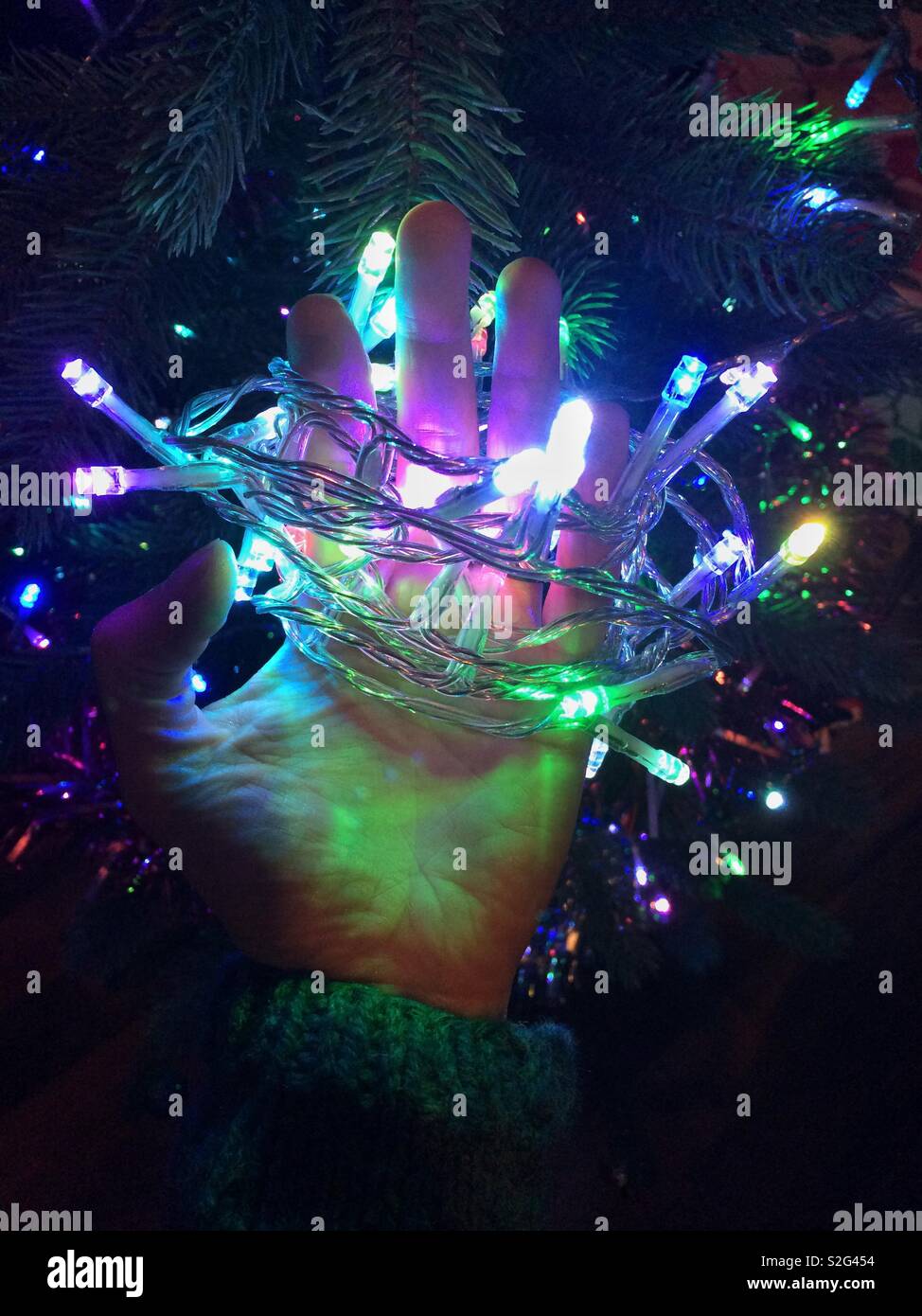 Prendre en bas (ou la mise en place) les décorations de Noël - woman's hand avec fairy lights enroulé autour d'elle Banque D'Images