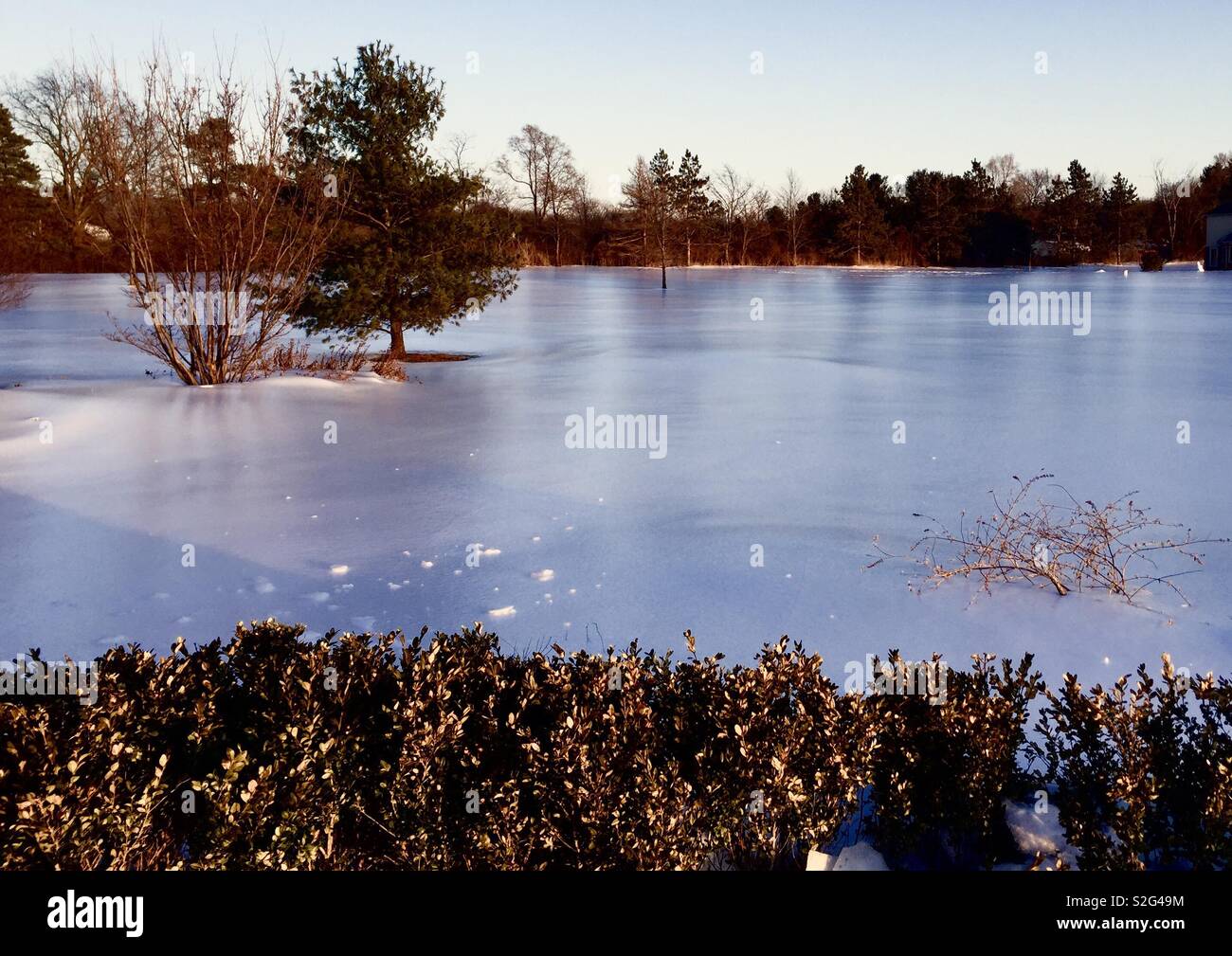 Couvert de glace à l'aube de la neige - Image de stock capturée avec un smartphone