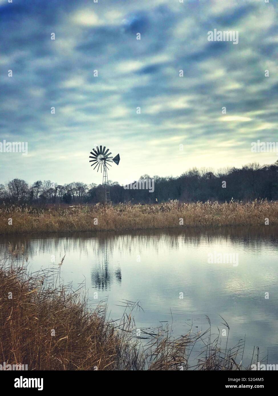 Une très belle vue sur les marais d'Avalon, réserve naturelle RSPB, Somerset - Image de stock capturée avec un smartphone