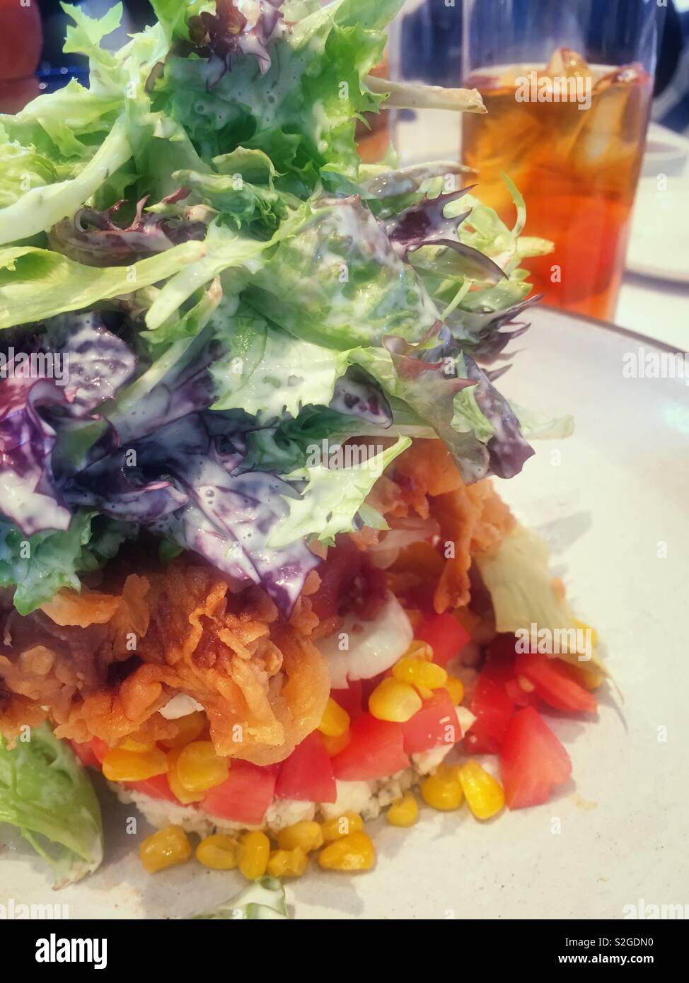 Une présentation d'un gourmet salade de poulet croustillant dispose d''une montagne de verts dans un restaurant de luxe, USA Banque D'Images