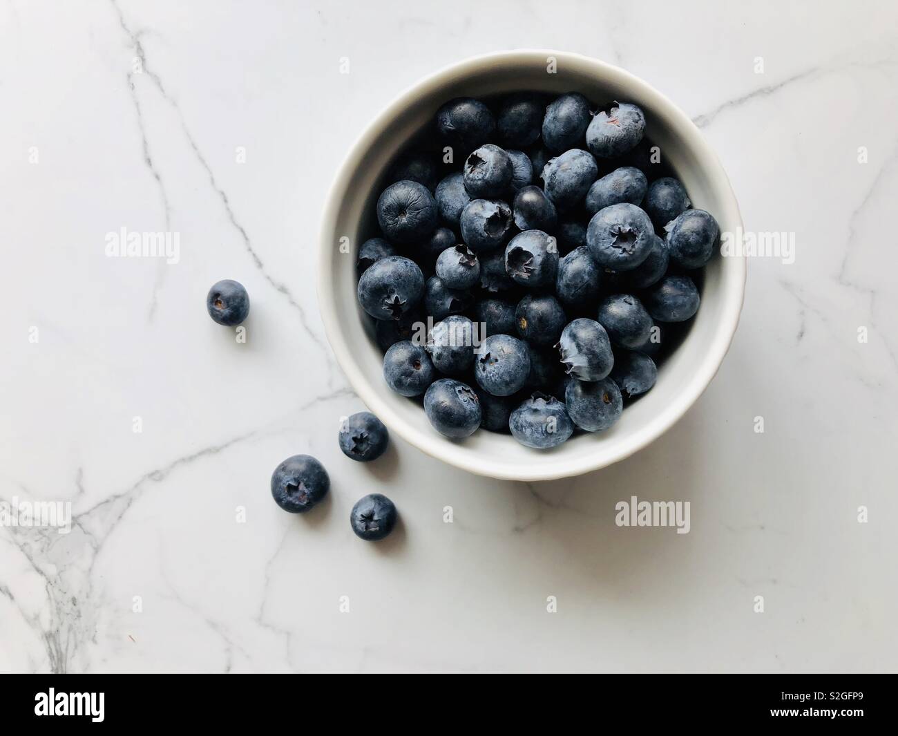 Bleuets dans un bol blanc Banque D'Images