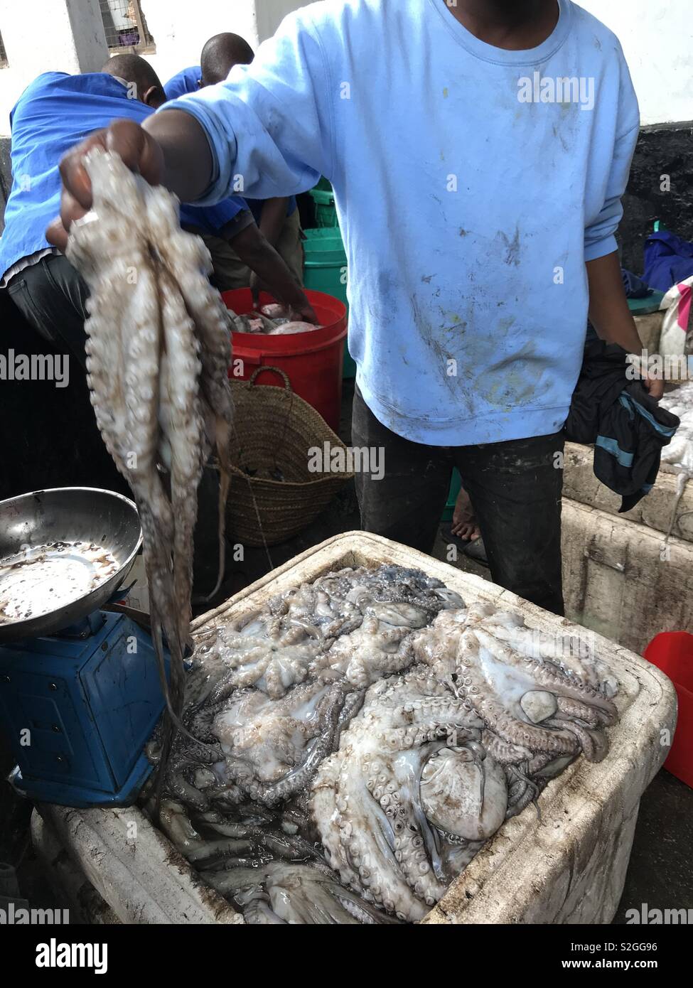 Octopus pour vendre. De délicieux fruits de mer exotiques, Banque D'Images
